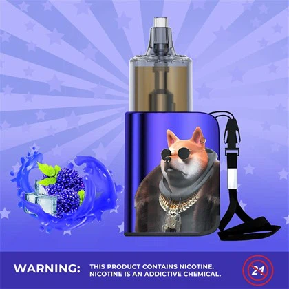 Randm Vape Sunax Uni